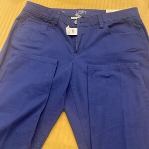 Loft Curvy skinny ankle pants